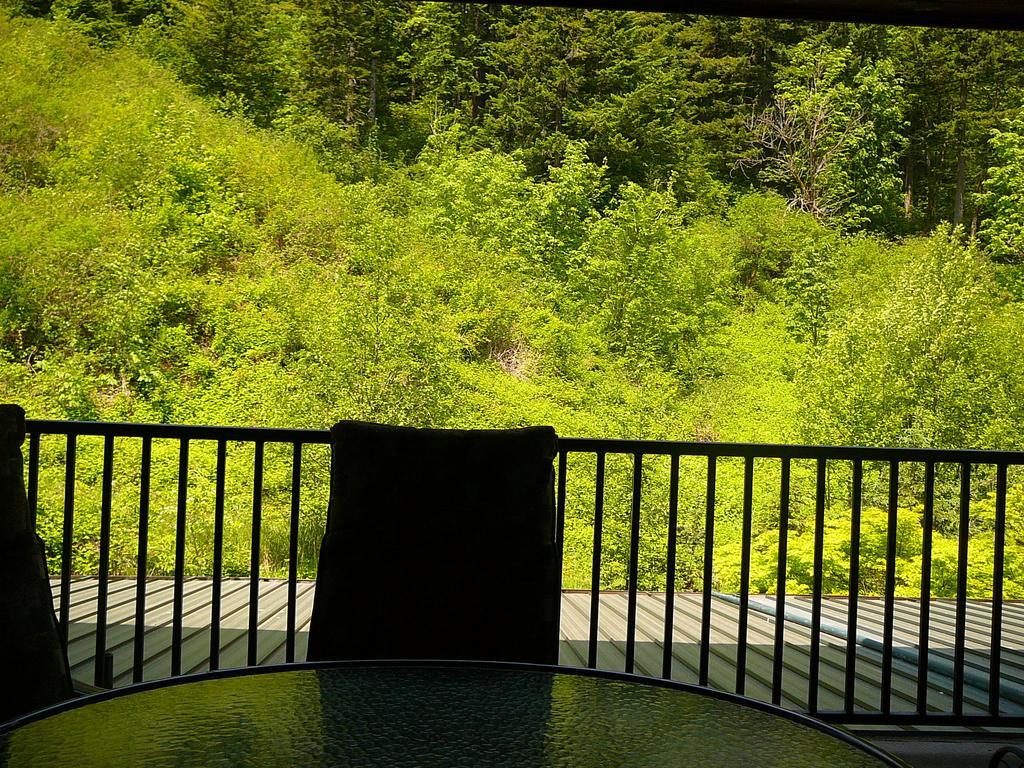 Bonneville Hot Springs Resort & Spa North Bonneville 客房 照片